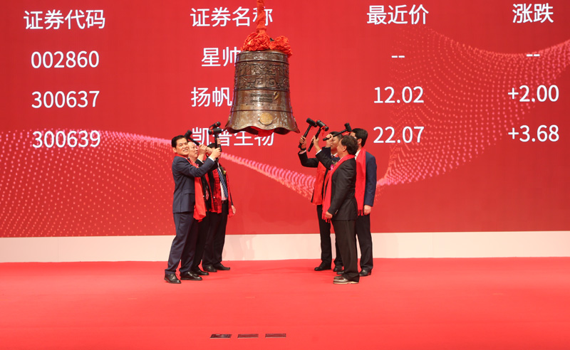 凱普首次公開(kāi)發(fā)行股票并在深圳證券交易所創(chuàng)業(yè)板上市
